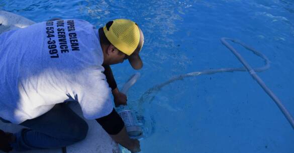 Pool Maintenance